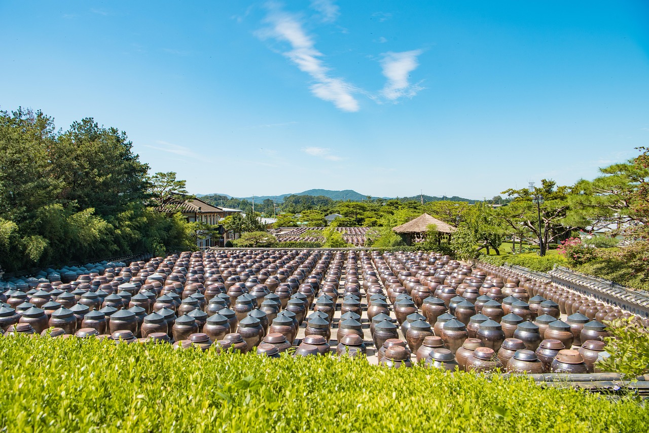基督城美食攻略，探索新西兰南岛的味蕾之旅