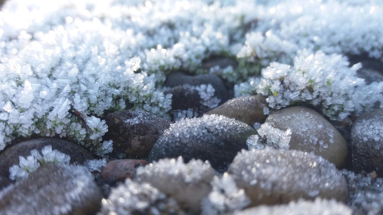 东北雪乡特色美食，冰天雪地中的味蕾盛宴