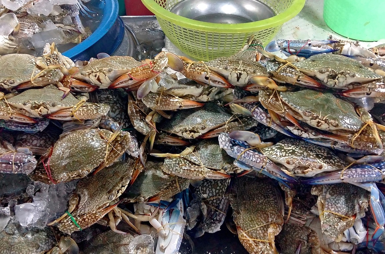 宝安美食推荐，深圳宝安区美食地图